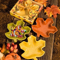 Fall Color Bowls
