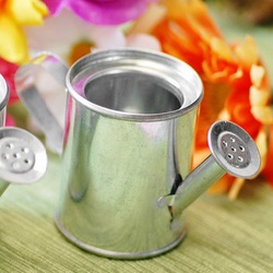 Miniature Watering Cans