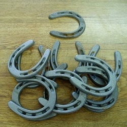 Cast Iron Horseshoes