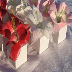Hibiscus Favor Boxes